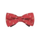 Bow Tie for Boys Bow Tie for Boys