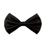 Bow Tie for Boys Bow Tie for Boys