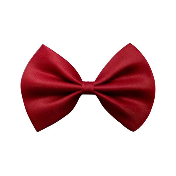 Bow Tie for Boys