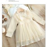 princess tulle dress